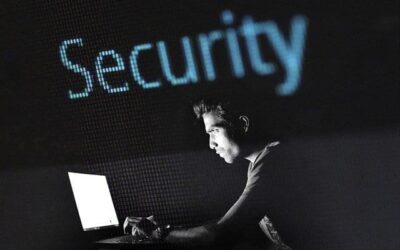 Jetzt verfügbar: Whois Pro Service