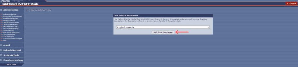 DNS-Zone anpassen - SI DNS Button